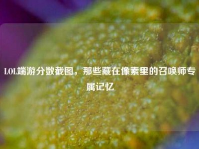 LOL端游分数截图，那些藏在像素里的召唤师专属记忆