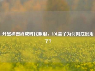 开黑神器终成时代眼泪，LOL盒子为何彻底没用了？