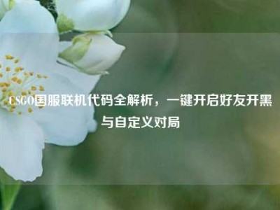 CSGO国服联机代码全解析，一键开启好友开黑与自定义对局