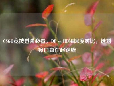 CSGO竞技进阶必看，DP vs HDMI深度对比，选对接口赢在起跑线