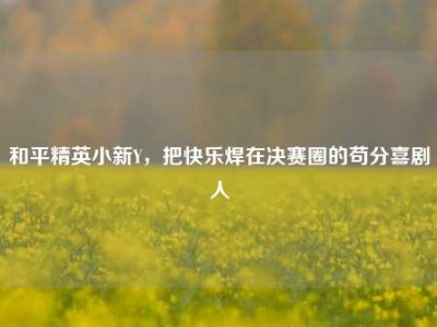 和平精英小新Y，把快乐焊在决赛圈的苟分喜剧人