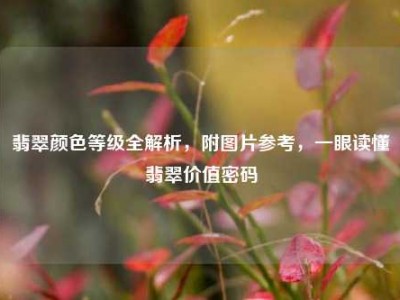 翡翠颜色等级全解析，附图片参考，一眼读懂翡翠价值密码