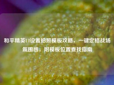 和平精英UI设置拍照模板攻略，一键定格战场氛围感，附模板位置查找指南