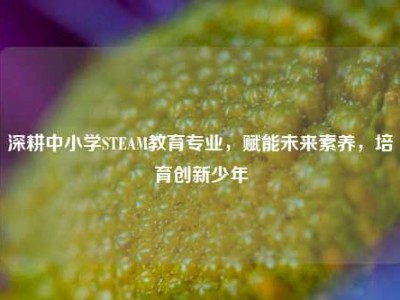深耕中小学STEAM教育专业，赋能未来素养，培育创新少年