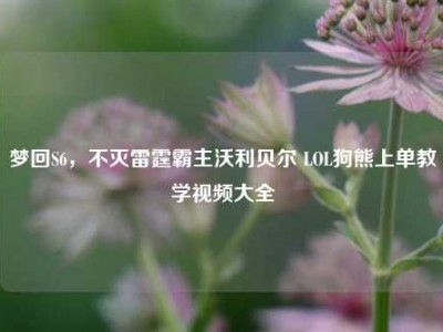 梦回S6，不灭雷霆霸主沃利贝尔 LOL狗熊上单教学视频大全