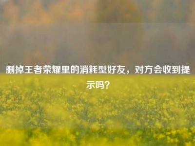 删掉王者荣耀里的消耗型好友，对方会收到提示吗？