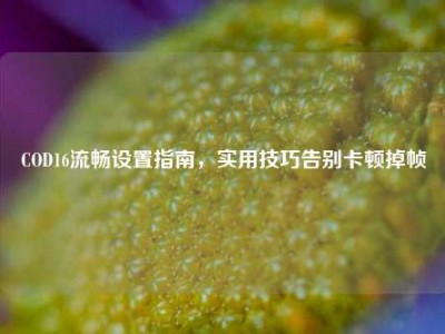 COD16流畅设置指南，实用技巧告别卡顿掉帧