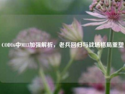 COD16中M13加强解析，老兵回归与战场格局重塑