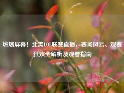 燃爆屏幕！北美LOL联赛直播，赛场风云、观赛狂欢全解析及观看指南