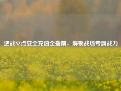逆战NZ点安全充值全指南，解锁战场专属战力