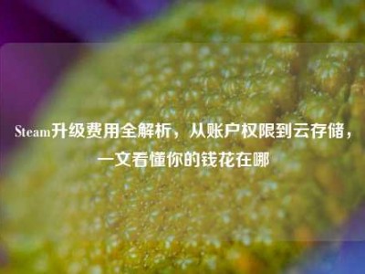 Steam升级费用全解析，从账户权限到云存储，一文看懂你的钱花在哪