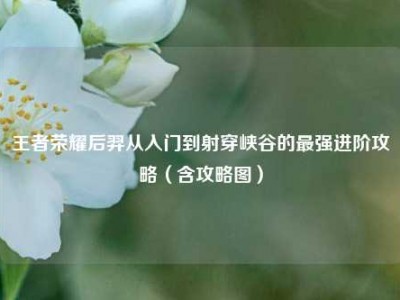 王者荣耀后羿从入门到射穿峡谷的最强进阶攻略（含攻略图）