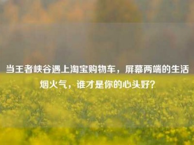 当王者峡谷遇上淘宝购物车，屏幕两端的生活烟火气，谁才是你的心头好？