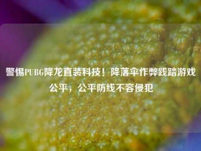警惕PUBG降龙直装科技！降落伞作弊践踏游戏公平，公平防线不容侵犯