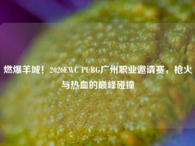 燃爆羊城！2026EWC PUBG广州职业邀请赛，枪火与热血的巅峰碰撞