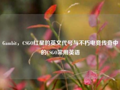 Gambit，CSGO红星的英文代号与不朽电竞传奇中的CSGO常用英语