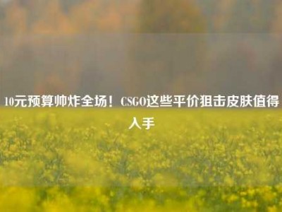 10元预算帅炸全场！CSGO这些平价狙击皮肤值得入手
