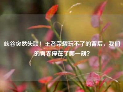 峡谷突然失联！王者荣耀玩不了的背后，我们的青春停在了哪一刻？