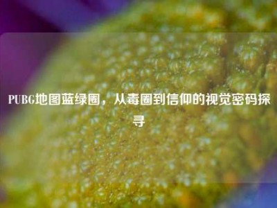 PUBG地图蓝绿圈，从毒圈到信仰的视觉密码探寻