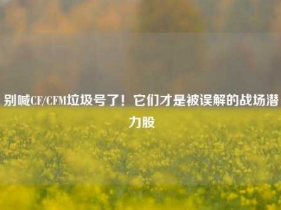 别喊CF/CFM垃圾号了！它们才是被误解的战场潜力股
