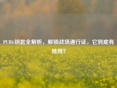 PUBG钥匙全解析，解锁战场通行证，它到底有啥用？