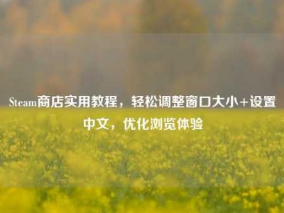 Steam商店实用教程，轻松调整窗口大小+设置中文，优化浏览体验
