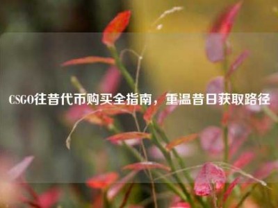 CSGO往昔代币购买全指南，重温昔日获取路径