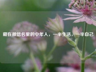 藏在微信名里的中年人，一半生活，一半自己