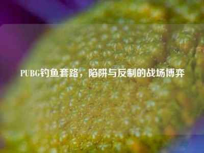 PUBG钓鱼套路，陷阱与反制的战场博弈