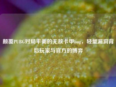 颠覆PUBG对局平衡的无敌卡甲bug，轻量漏洞背后玩家与官方的博弈