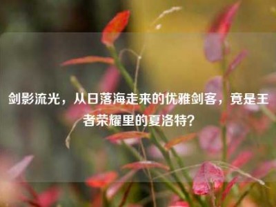 剑影流光，从日落海走来的优雅剑客，竟是王者荣耀里的夏洛特？