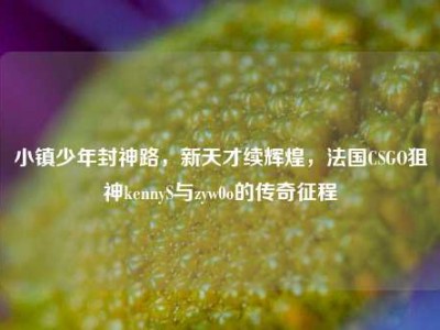小镇少年封神路，新天才续辉煌，法国CSGO狙神kennyS与zyw0o的传奇征程