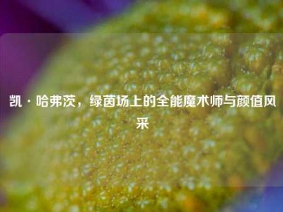 凯·哈弗茨，绿茵场上的全能魔术师与颜值风采