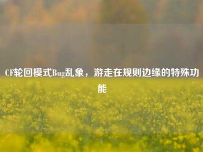 CF轮回模式Bug乱象，游走在规则边缘的特殊功能