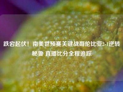 跌宕起伏！南美世预赛关键战哥伦比亚2-1逆转秘鲁 直播比分全程追踪