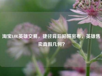 淘宝LOL英雄交易，捷径背后陷阱密布，英雄售卖真假几何？