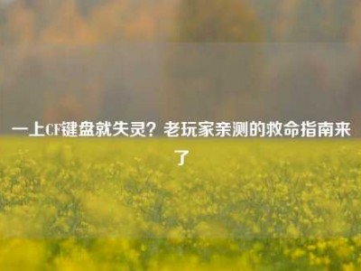一上CF键盘就失灵？老玩家亲测的救命指南来了