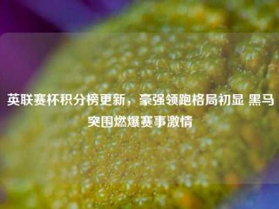 英联赛杯积分榜更新，豪强领跑格局初显 黑马突围燃爆赛事激情