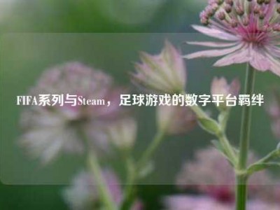 FIFA系列与Steam，足球游戏的数字平台羁绊
