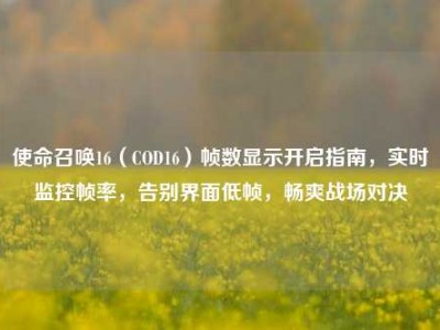 使命召唤16（COD16）帧数显示开启指南，实时监控帧率，告别界面低帧，畅爽战场对决