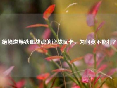 绝境燃爆铁血战魂的逆战瓦卡，为何竟不能打？