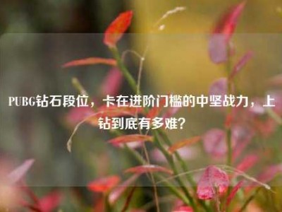 PUBG钻石段位，卡在进阶门槛的中坚战力，上钻到底有多难？