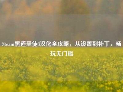 Steam黑道圣徒3汉化全攻略，从设置到补丁，畅玩无门槛