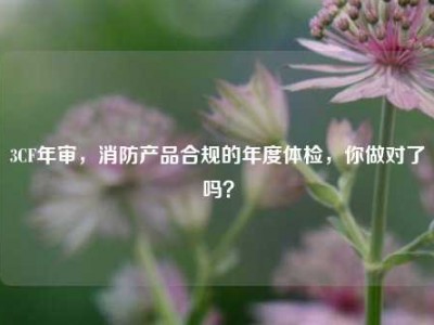 3CF年审，消防产品合规的年度体检，你做对了吗？