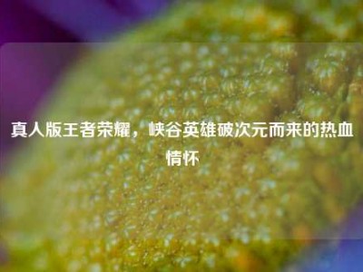 真人版王者荣耀，峡谷英雄破次元而来的热血情怀