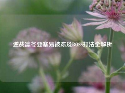 逆战凛冬要塞易被冻及BOSS打法全解析