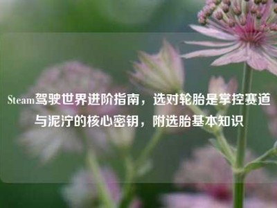 Steam驾驶世界进阶指南，选对轮胎是掌控赛道与泥泞的核心密钥，附选胎基本知识