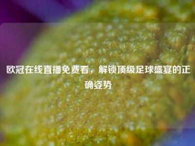 欧冠在线直播免费看，解锁顶级足球盛宴的正确姿势