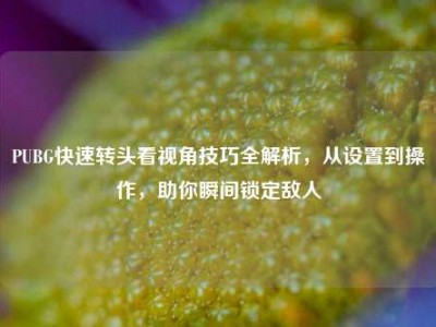 PUBG快速转头看视角技巧全解析，从设置到操作，助你瞬间锁定敌人