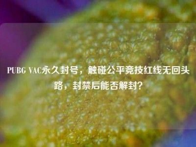 PUBG VAC永久封号，触碰公平竞技红线无回头路，封禁后能否解封？